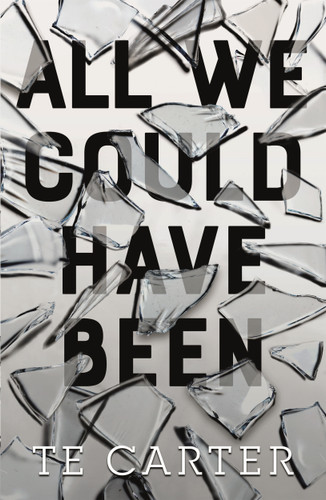 All We Could Have Been book cover by TE Carter