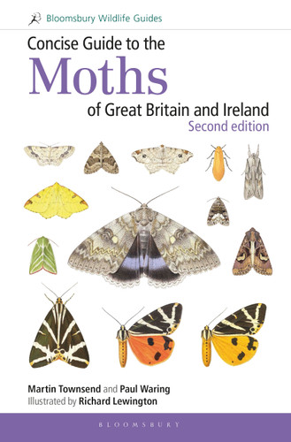 Concise Guide to the Moths of Great Britain and Ireland: Second edition book cover by Martin Townsend, Paul Waring