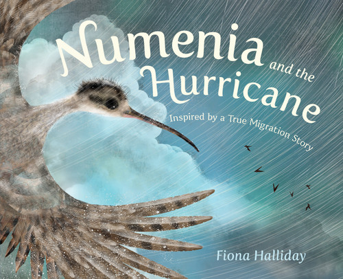 Numenia and the Hurricane: Inspired by a True Migration Story book cover by Fiona Halliday