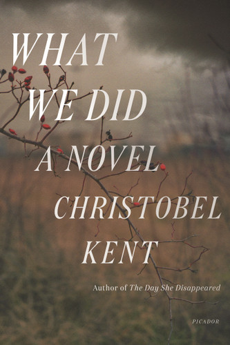 What We Did: A Novel book cover by Christobel Kent