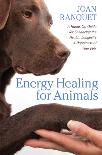 Energy Healing for Animals: A Hands-On Guide for Enhancing the Health, Longevity, and Happiness of Your Pets book cover by Joan Ranquet