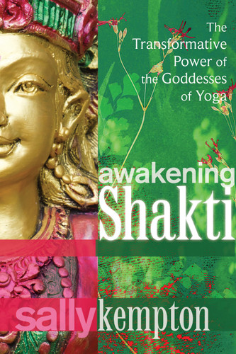 Awakening Shakti: The Transformative Power of the Goddesses of Yoga book cover by Sally Kempton