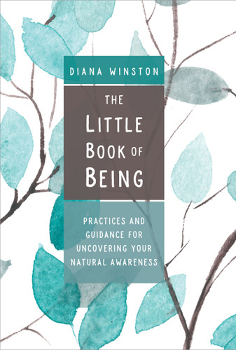 The Little Book of Being: Practices and Guidance for Uncovering Your Natural Awareness book cover by Diana Winston