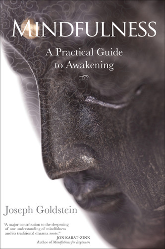 Mindfulness: A Practical Guide to Awakening book cover by Joseph Goldstein