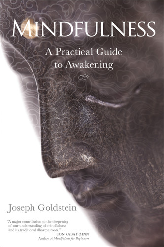 Mindfulness: A Practical Guide to Awakening book cover by Joseph Goldstein