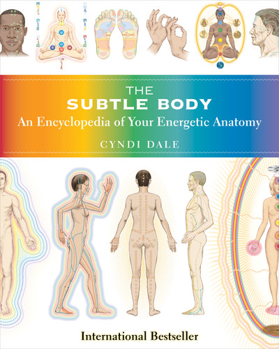 The Subtle Body: An Encyclopedia of Your Energetic Anatomy book cover by Cyndi Dale