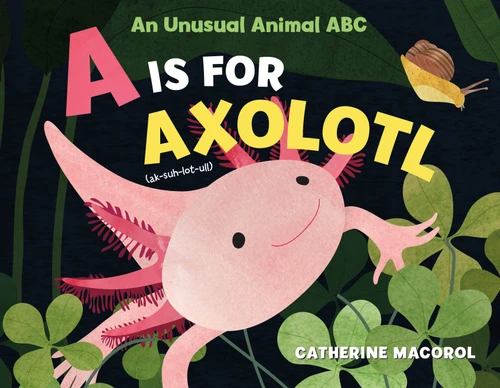 A Is for Axolotl: An Unusual Animal ABC book cover by Catherine Macorol