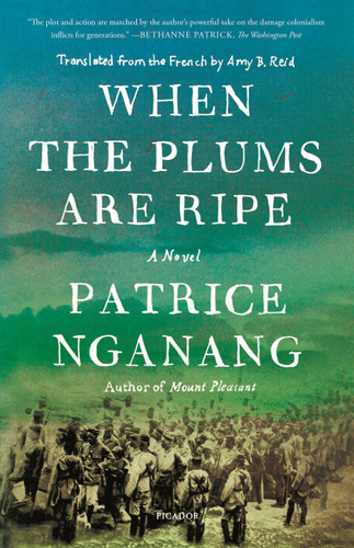 When the Plums Are Ripe: A Novel book cover by Patrice Nganang