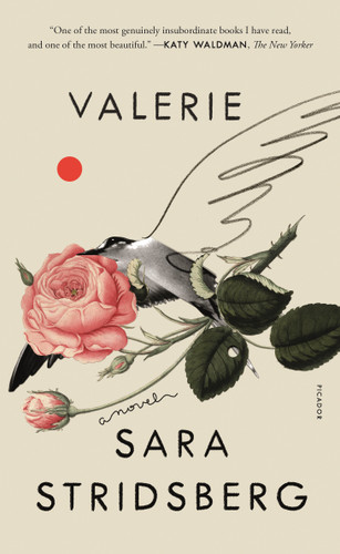 Valerie: or, The Faculty of Dreams: A Novel book cover by Sara Stridsberg