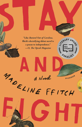 Stay and Fight: A Novel book cover by Madeline ffitch