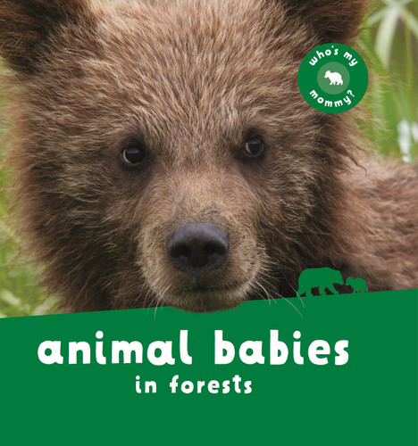 Animal Babies in Forests (Animal Babies) book cover by Editors of Kingfisher