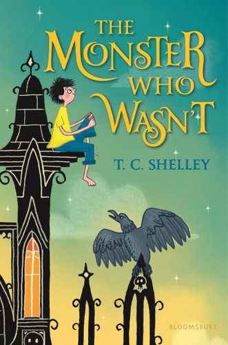 The Monster Who Wasn't book cover by T C Shelley
