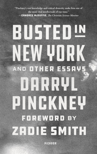 Busted in New York and Other Essays book cover by Darryl Pinckney