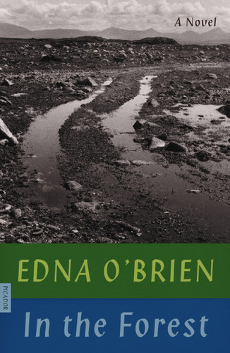 In the Forest: A Novel book cover by Edna O'Brien