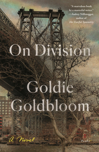 On Division: A Novel book cover by Goldie Goldbloom