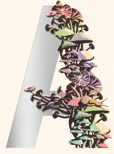 Ambergris: City of Saints and Madmen; Shriek: An Afterword; Finch book cover by Jeff VanderMeer