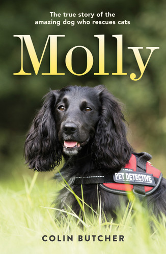 Molly: The True Story of the Amazing Dog Who Rescues Cats book cover by Colin Butcher