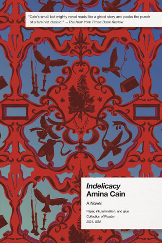Indelicacy: A Novel book cover by Amina Cain