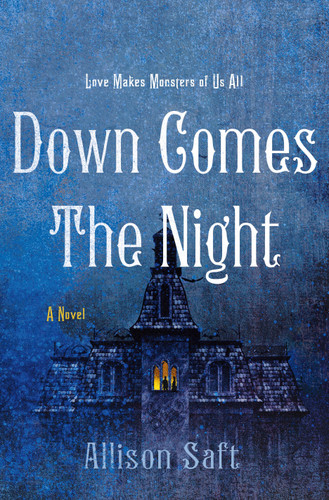 Down Comes the Night: A Novel book cover by Allison Saft
