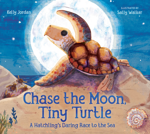 Chase the Moon, Tiny Turtle: A Hatchling's Daring Race to the Sea book cover by Kelly Jordan