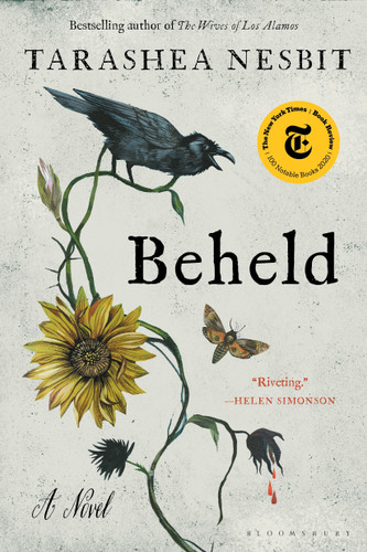 Beheld book cover by TaraShea Nesbit