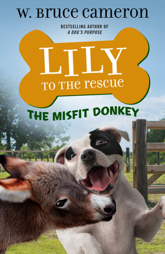 Lily to the Rescue: The Misfit Donkey (Lily to the Rescue! #6) book cover by W. Bruce Cameron