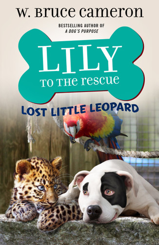 Lily to the Rescue: Lost Little Leopard (Lily to the Rescue! #5) book cover by W. Bruce Cameron