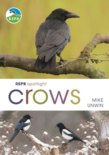 RSPB Spotlight Crows (RSPB) book cover by Mike Unwin