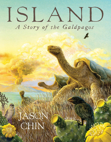 Island: A Story of the Galápagos book cover by Jason Chin