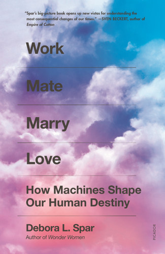 Work Mate Marry Love: How Machines Shape Our Human Destiny book cover by Debora L. Spar