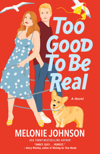 Too Good to Be Real: A Novel book cover by Melonie Johnson