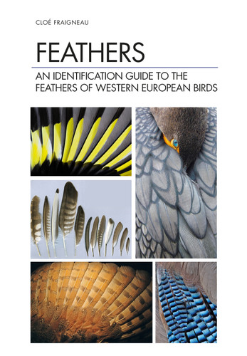 Feathers: An Identification Guide to the Feathers of Western European Birds book cover by Cloé Fraigneau