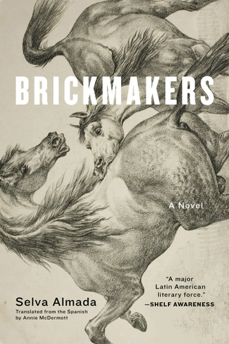 Brickmakers: A Novel book cover by Selva Almada