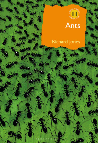 Ants: The ultimate social insects (British Wildlife Collection) book cover by Richard Jones