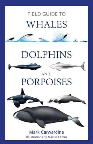 Field Guide to Whales, Dolphins and Porpoises (Bloomsbury Naturalist) book cover by Mark Carwardine