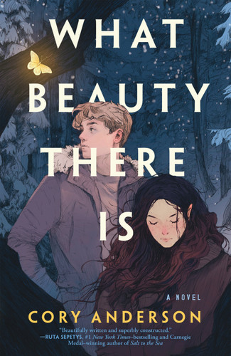 What Beauty There Is: A Novel [9781250821188]