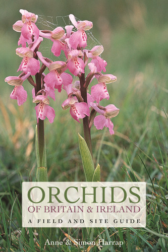Orchids of Britain and Ireland: A Field and Site Guide book cover by Anne Harrap, Simon Harrap