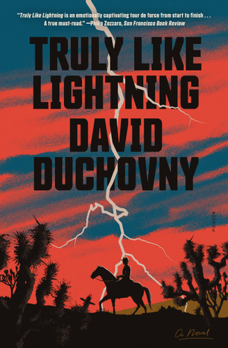 Truly Like Lightning: A Novel book cover by David Duchovny