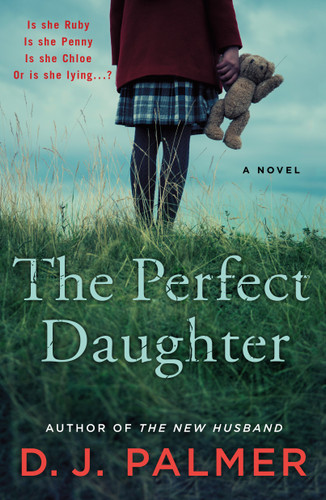 The Perfect Daughter: A Novel book cover by D.J. Palmer