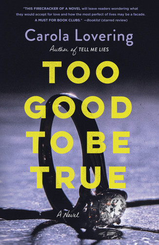 Too Good to Be True: A Novel book cover by Carola Lovering