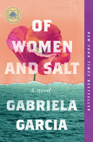 Of Women and Salt: A Novel book cover by Gabriela Garcia