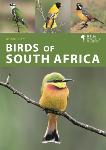 Birds of South Africa (Helm Wildlife Guides) book cover by Adam Riley