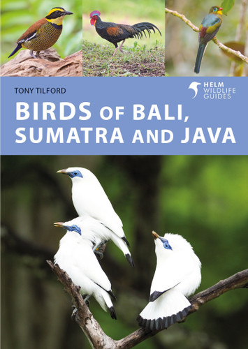 Birds of Bali, Sumatra and Java (Helm Wildlife Guides) book cover by Tony Tilford