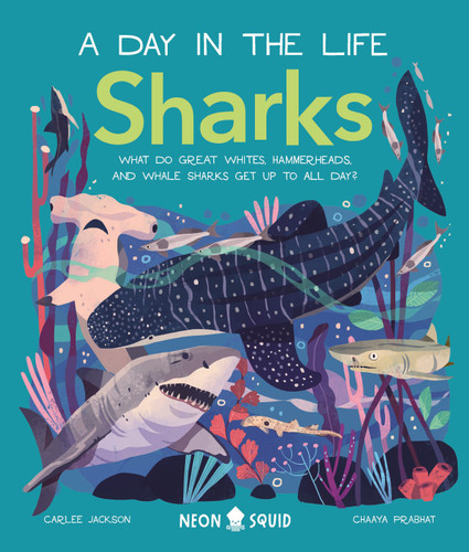 Sharks (A Day in the Life): What Do Great Whites, Hammerheads, and Whale Sharks Get Up To All Day? book cover by Carlee Jackson, Neon Squid
