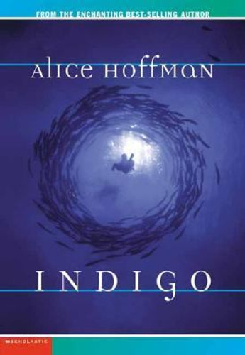 Indigo Cover