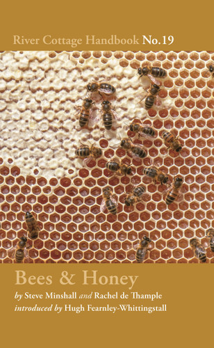 Bees & Honey: River Cottage Handbook No.19 (River Cottage Handbook) [9781408873557]