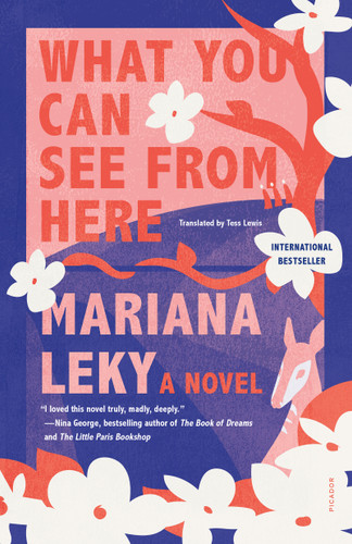 What You Can See from Here: A Novel book cover by Mariana Leky