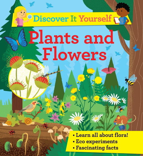 Discover it Yourself: Plants and Flowers (Discover It Yourself) book cover by Sally Morgan