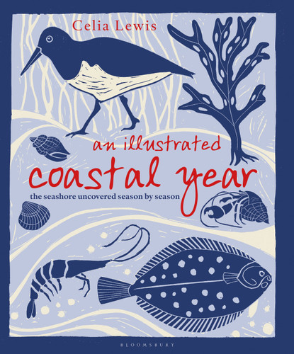 An Illustrated Coastal Year: The seashore uncovered season by season book cover by Celia Lewis