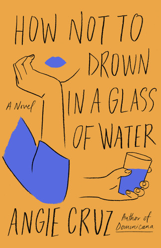 How Not to Drown in a Glass of Water: A Novel book cover by Angie Cruz